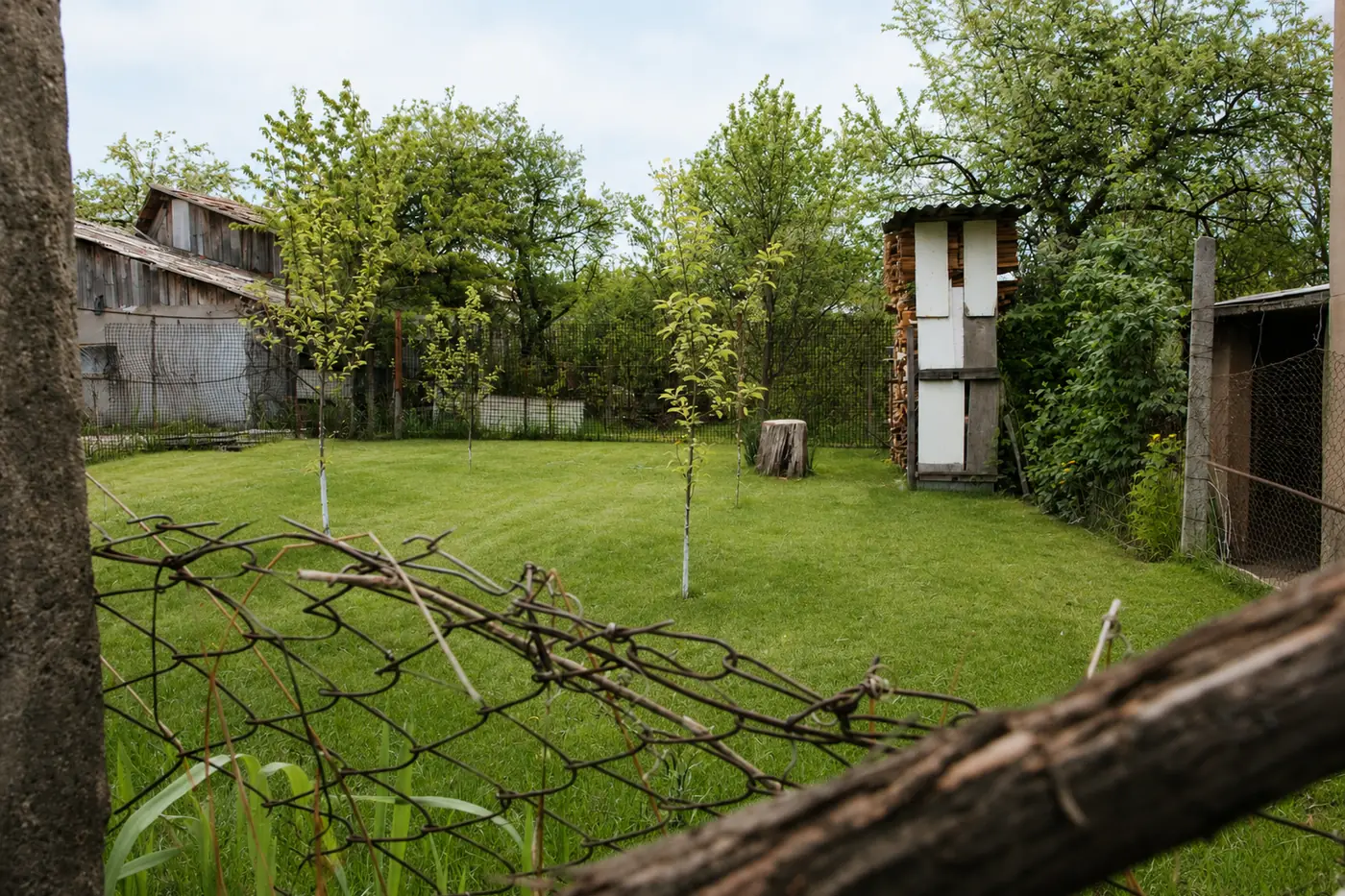 Derselbe Garten nach Rasenschnitt und Aufräumen durch Schwarz Objektservice